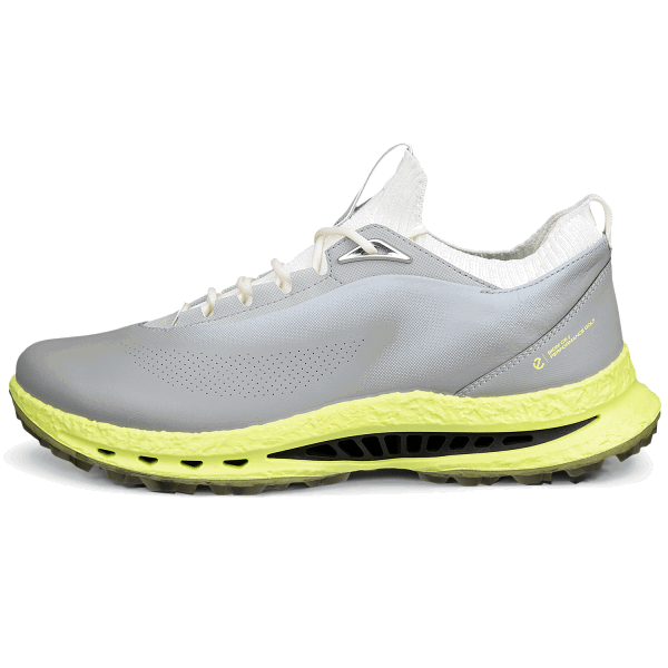 ECCO Biom C5 Gore Tex Golf Shoes Wild Dove / Wild Dove Size 41